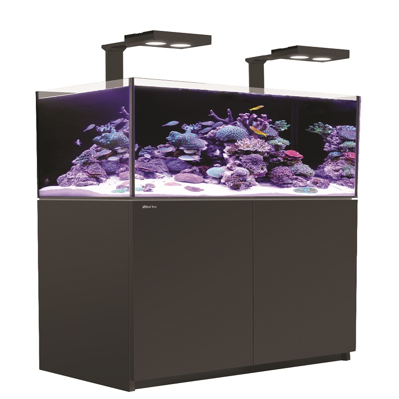 REEFER 250 DE LUJO