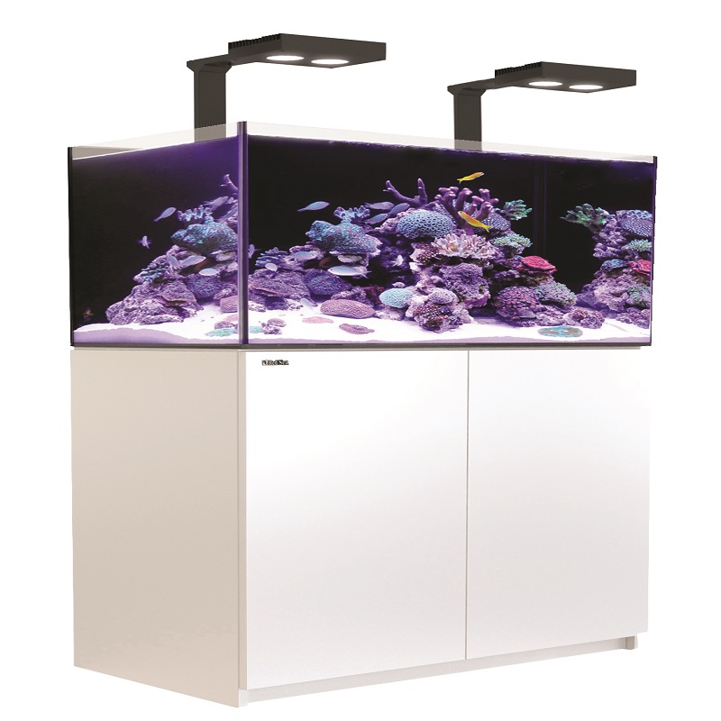 REEFER 250 DE LUJO