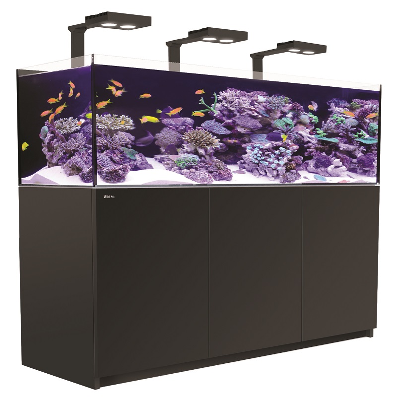 REEFER XL 425 DE LUJO