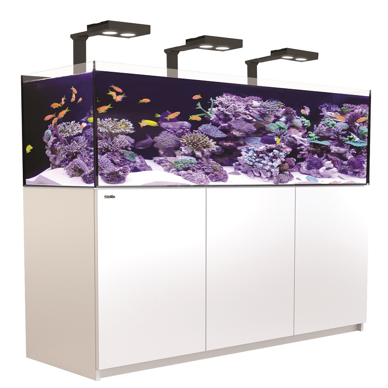 REEFER XL 425 DE LUJO