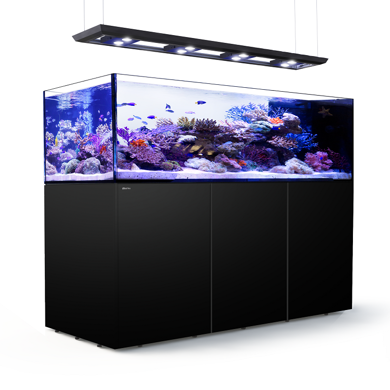 REEFER PENINSULA 650 DE LUJO