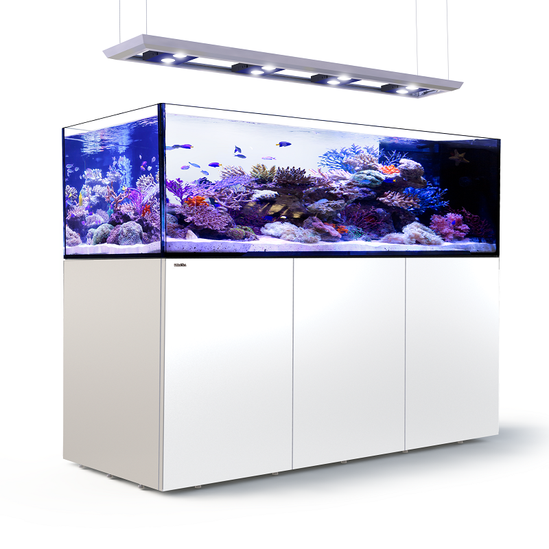 REEFER PENINSULA 650 DE LUJO